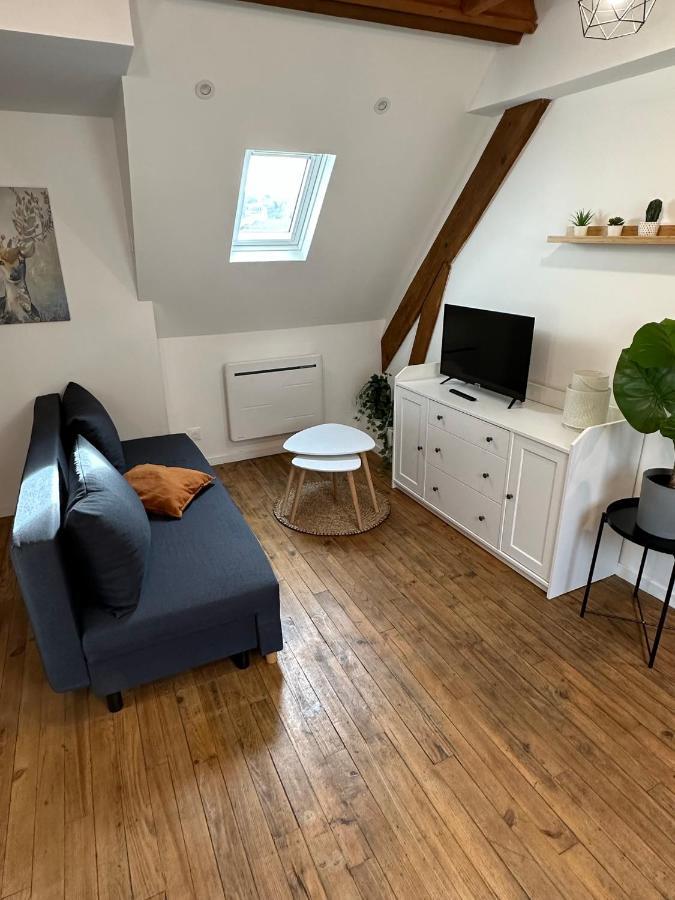 Superbe Appartement Mansarde Avec Mezzanine - Proche Centre Ville, Thermes, Aquensis Баньєр-де-Бігорр Екстер'єр фото